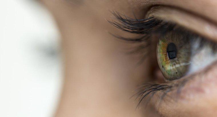 Quels sont les symptômes du zona dans les yeux ?