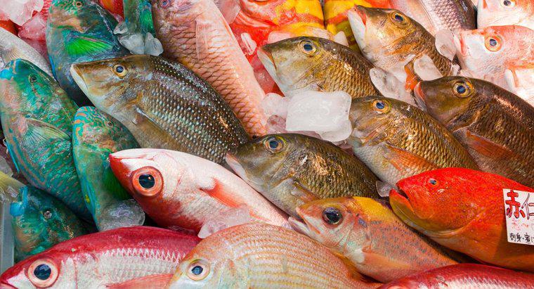 Quel est le poisson le plus consommé au monde ?