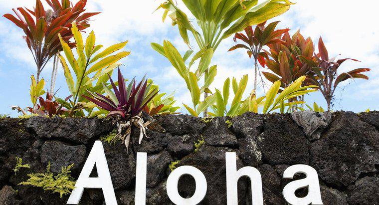 Combien y a-t-il de lettres dans l'alphabet hawaïen ?