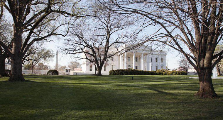 Quels présidents n'ont pas vécu à la Maison Blanche ?