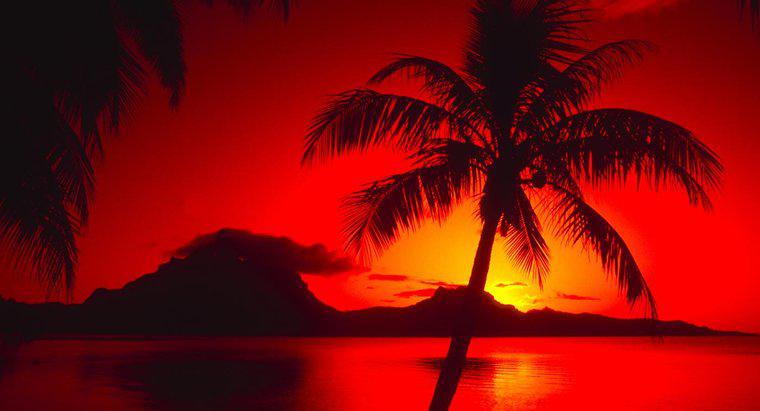 Quelle est la signification d'un coucher de soleil rouge ?