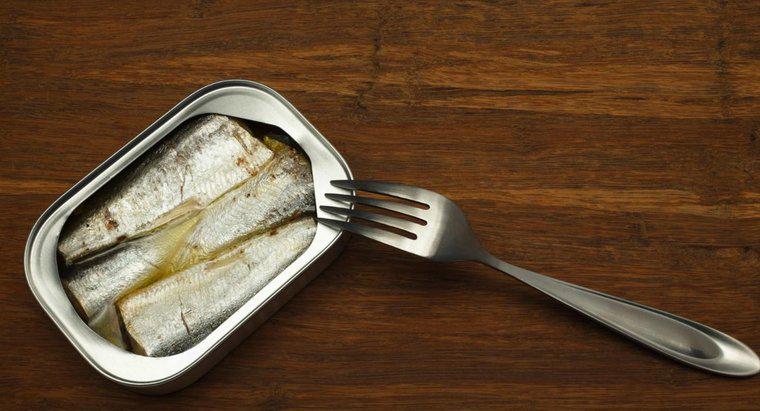 Quelle est la durée de conservation des sardines en conserve?