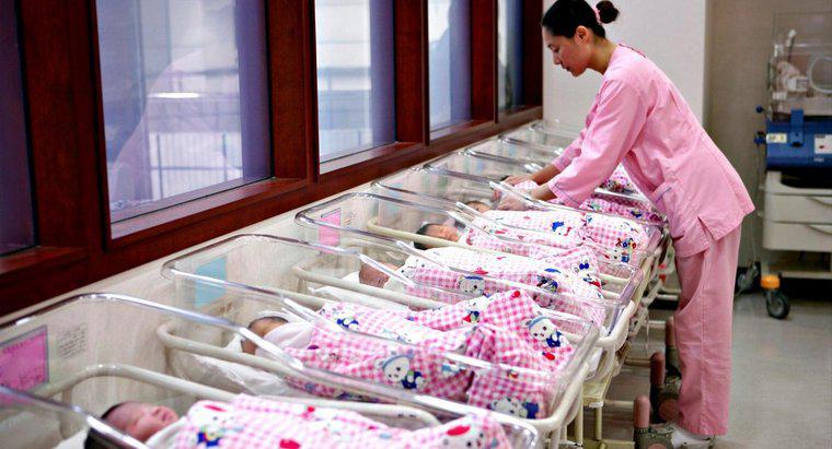 Quel est le nombre le plus élevé de bébés nés au cours d'une seule naissance ?