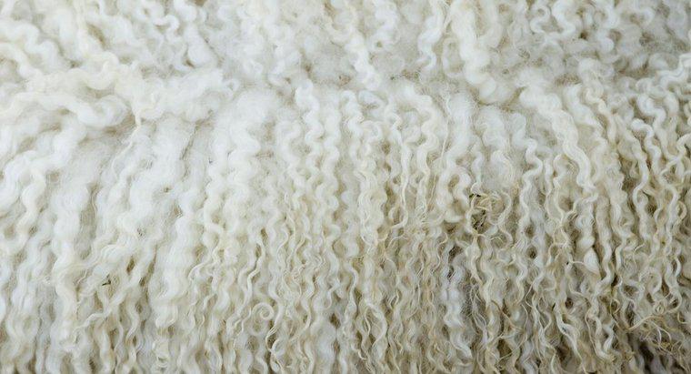 Qu'est-ce que la pure laine vierge ?