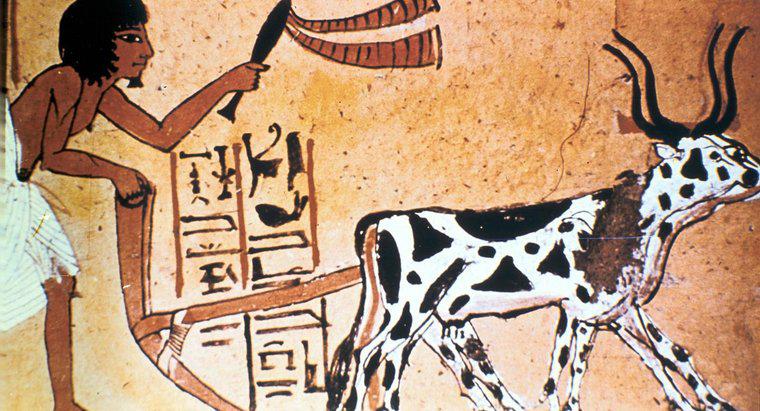 Quelles cultures les anciens Égyptiens cultivaient-ils ?