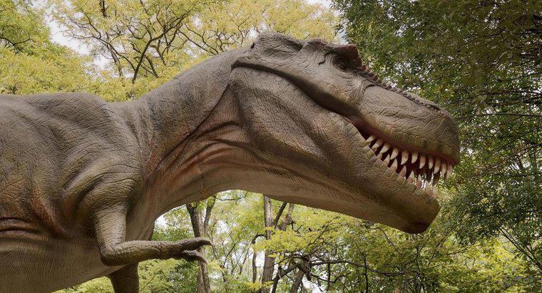 Quel est le parent le plus proche du Tyrannosaurus Rex ?