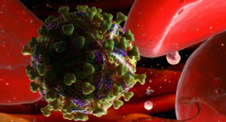 Combien de temps le VIH peut-il survivre en dehors du corps humain ?