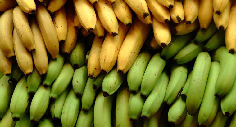 Combien d'onces est une banane moyenne?