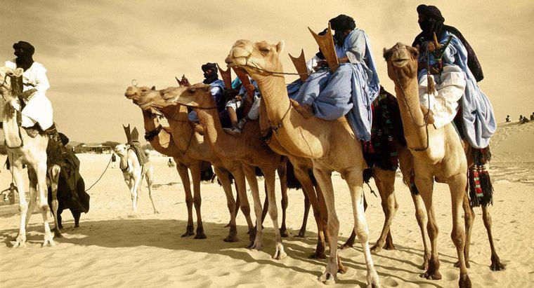Est-ce que quelqu'un vit réellement dans le désert du Sahara ?
