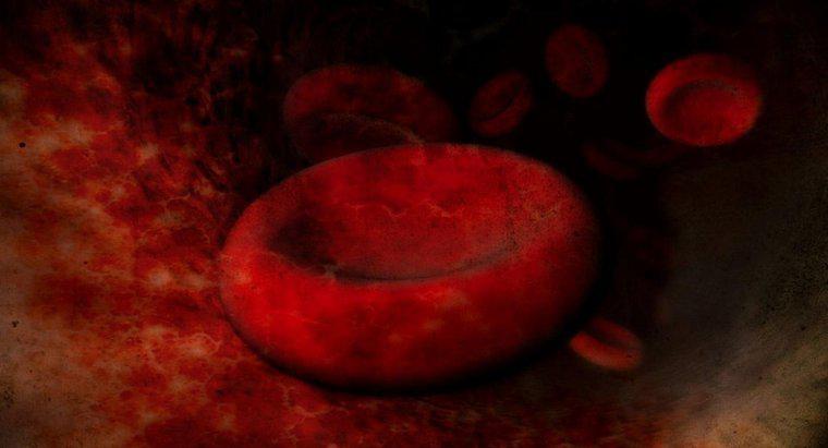Quelle est la cause de l'hypertrophie des globules rouges?
