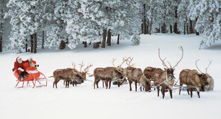 Quels sont les noms des rennes du père Noël ?