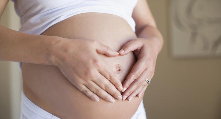 Quand une femme est-elle le plus susceptible de tomber enceinte ?