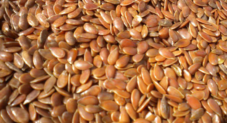 Combien de graines de lin devriez-vous prendre par jour ?