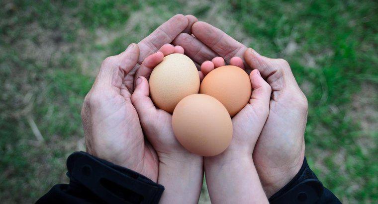 Combien pèse un œuf de poule ?