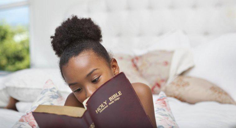 Quels sont les différents types de Bibles ?