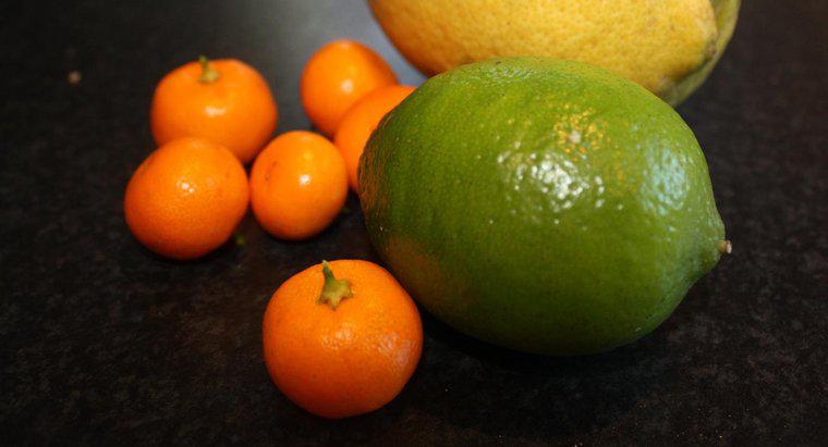 Quels aliments sont riches en acide citrique ?