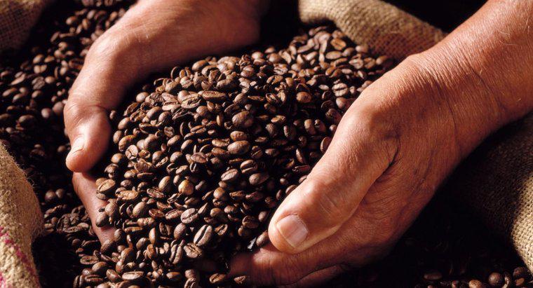 Pouvez-vous moudre des grains de café dans un mélangeur ?