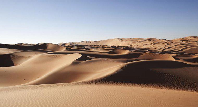 Quels sont les faits sur le désert d'Arabie ?