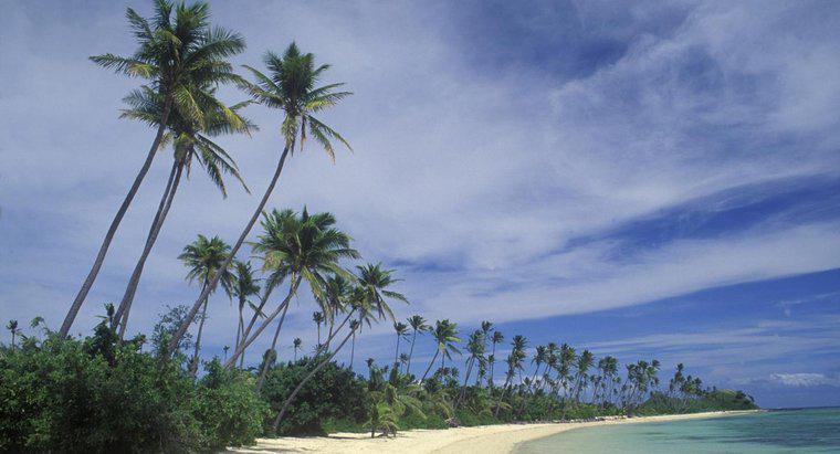Quelles sont certaines caractéristiques physiques des Fidji ?