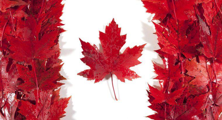 Pourquoi la feuille d'érable est-elle importante pour le Canada?