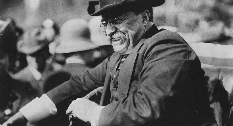 Pourquoi Theodore Roosevelt a-t-il été surnommé « trust Buster » ?