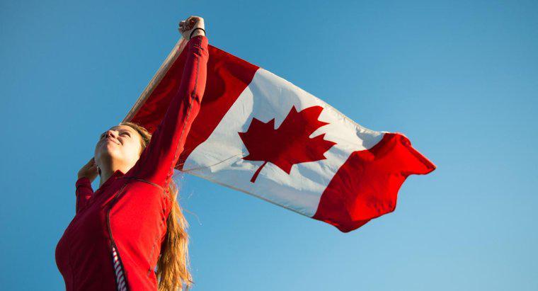 Qu'est-ce que l'emblème national du Canada?