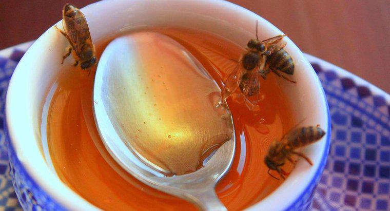 Quel est le meilleur miel du monde ?
