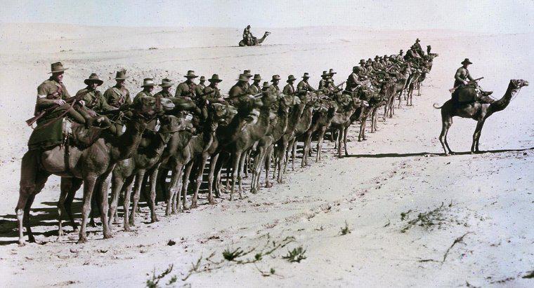 Comment l'impérialisme a-t-il contribué à la Première Guerre mondiale ?