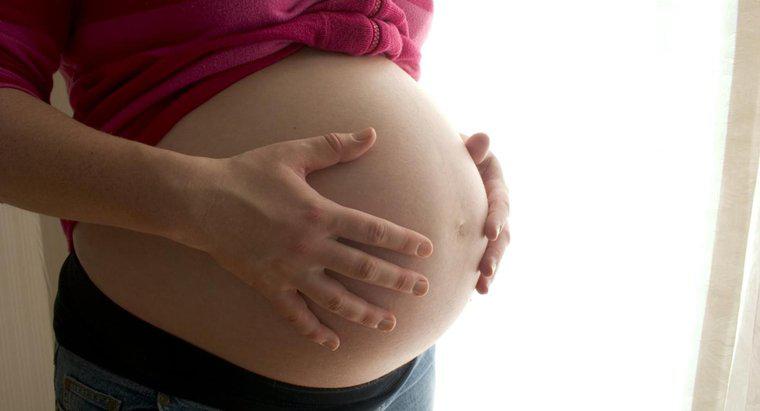 Quelle est la grossesse la plus longue de l'histoire ?