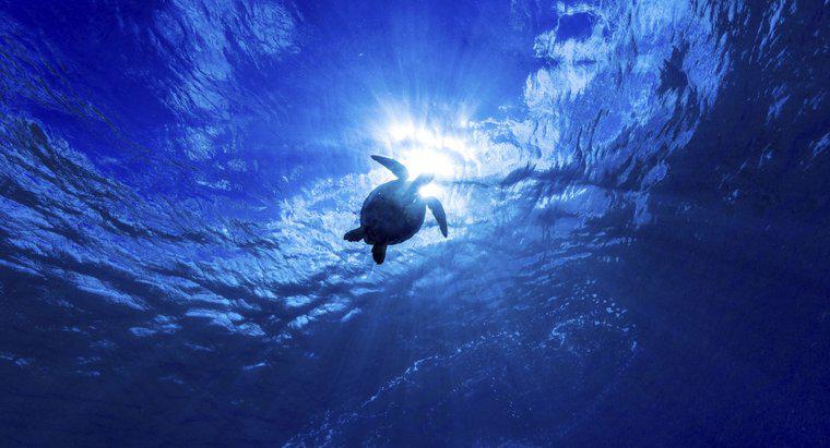 Quel est l'océan le plus profond du monde ?
