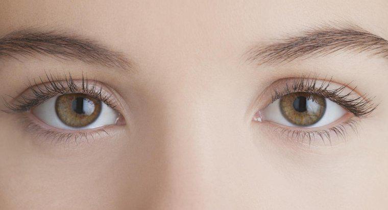 Quelles sont les causes des tremblements des yeux ?