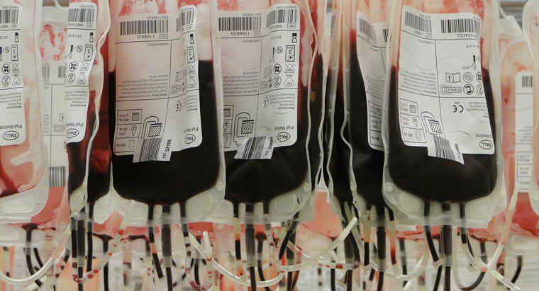 Quel est le type de donneur de sang universel ?