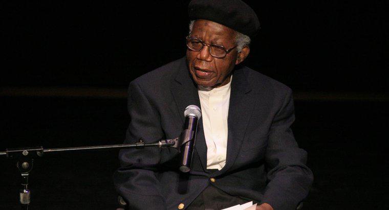 De quoi parle la nouvelle "L'électeur" de Chinua Achebe ?