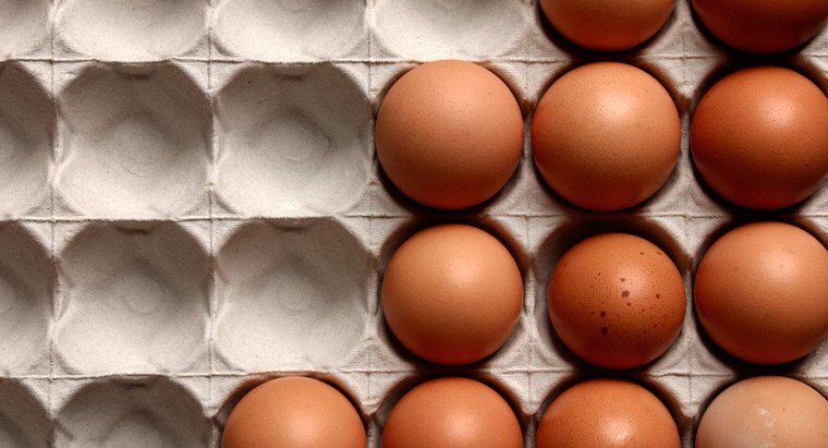 Comment tester si un œuf est frais ou dur ?