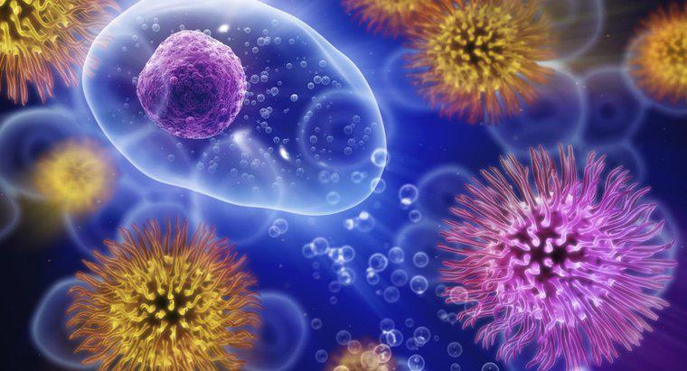 Combien de temps le virus du rhume peut-il vivre en dehors du corps ?