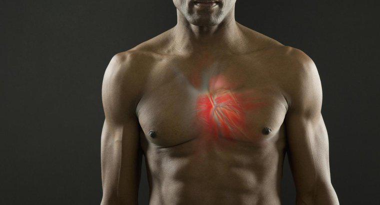 Le muscle cardiaque peut-il être tétanisé ?