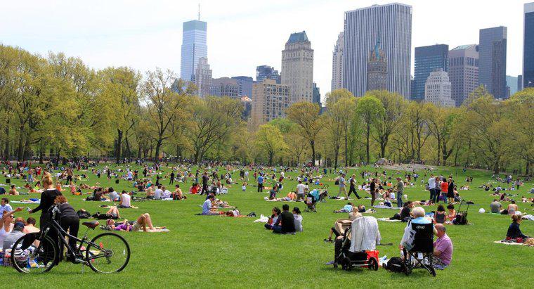 Quelle est la taille de Central Park à New York ?