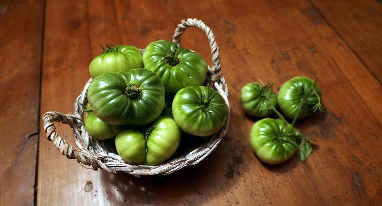 Comment congeler les tomates vertes ?