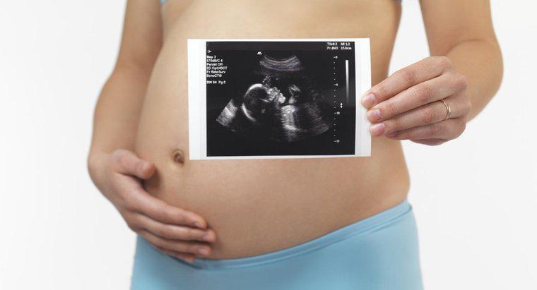 Un fœtus de 5 mois peut-il survivre hors de l'utérus ?