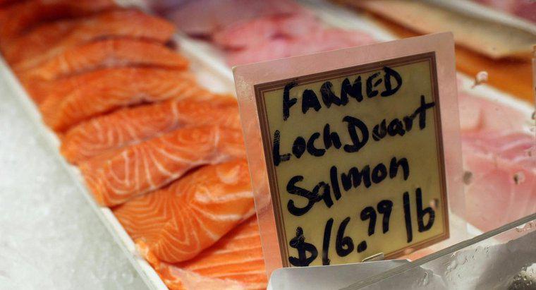 Le saumon fait-il grossir ?