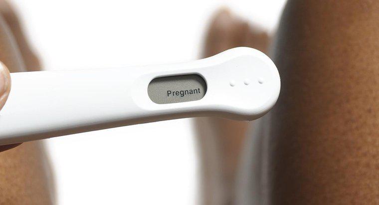Y a-t-il des signes de grossesse au cours de la première semaine ?