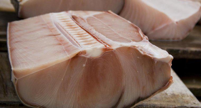 La viande de requin est-elle sûre à manger ?