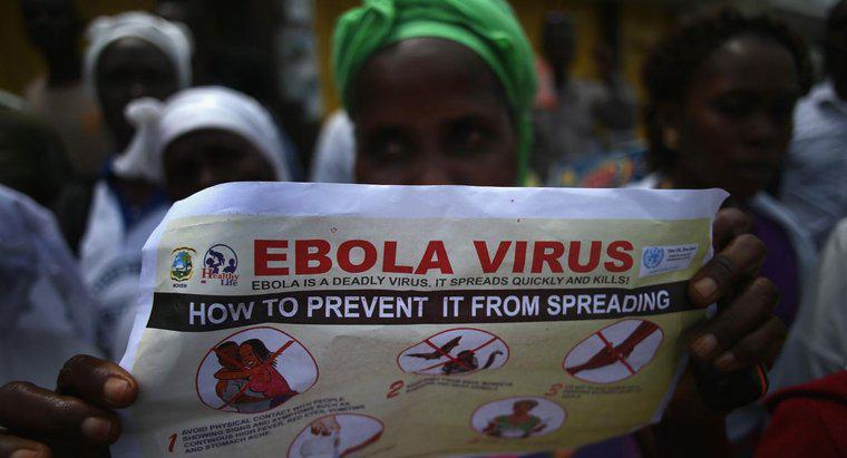 Comment les gens peuvent-ils se protéger de la maladie à virus Ebola ?