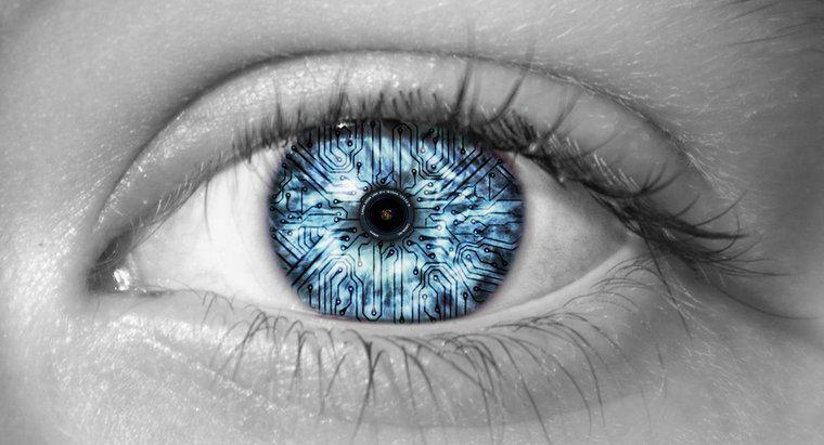 Qu'est-ce qui permet à l'œil humain de voir les couleurs ?
