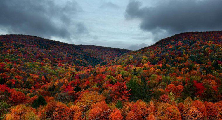 Quel est le climat au Vermont en automne ?