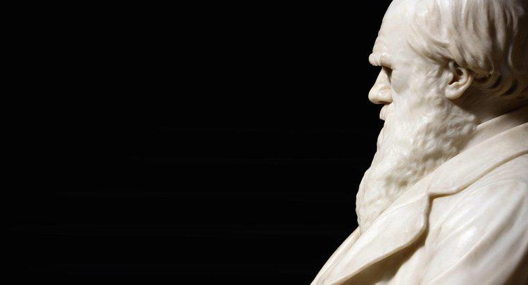 Où Charles Darwin est-il allé à l'école ?