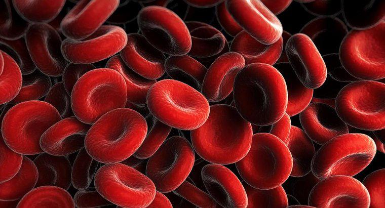 Qu'est-ce qui fait que votre nombre de globules rouges est bas ?