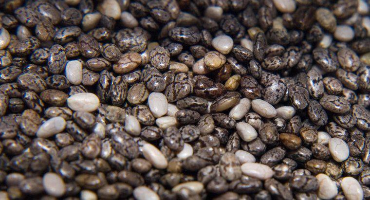 Quels sont les effets secondaires des graines de chia ?