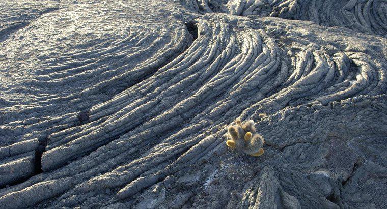 Quelle roche se forme lorsque le magma se refroidit à la surface de la Terre ?