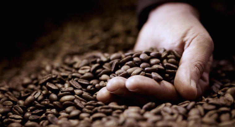Pouvez-vous manger des grains de café ?